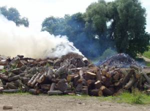 Burning chip pile