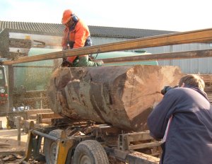 Trimming a tree