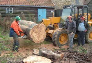 Chainsawing a tree trunk