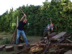 John and Robert chop wood