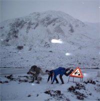 Group being silly near roadsign